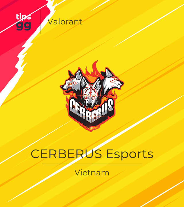 CERBERUS Esports Valorant Team from Vietnam | Tips.GG