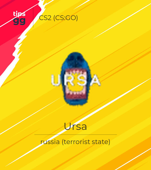 Ursa CS2 (CS:GO) Team from russia (terrorist state) | Tips.GG
